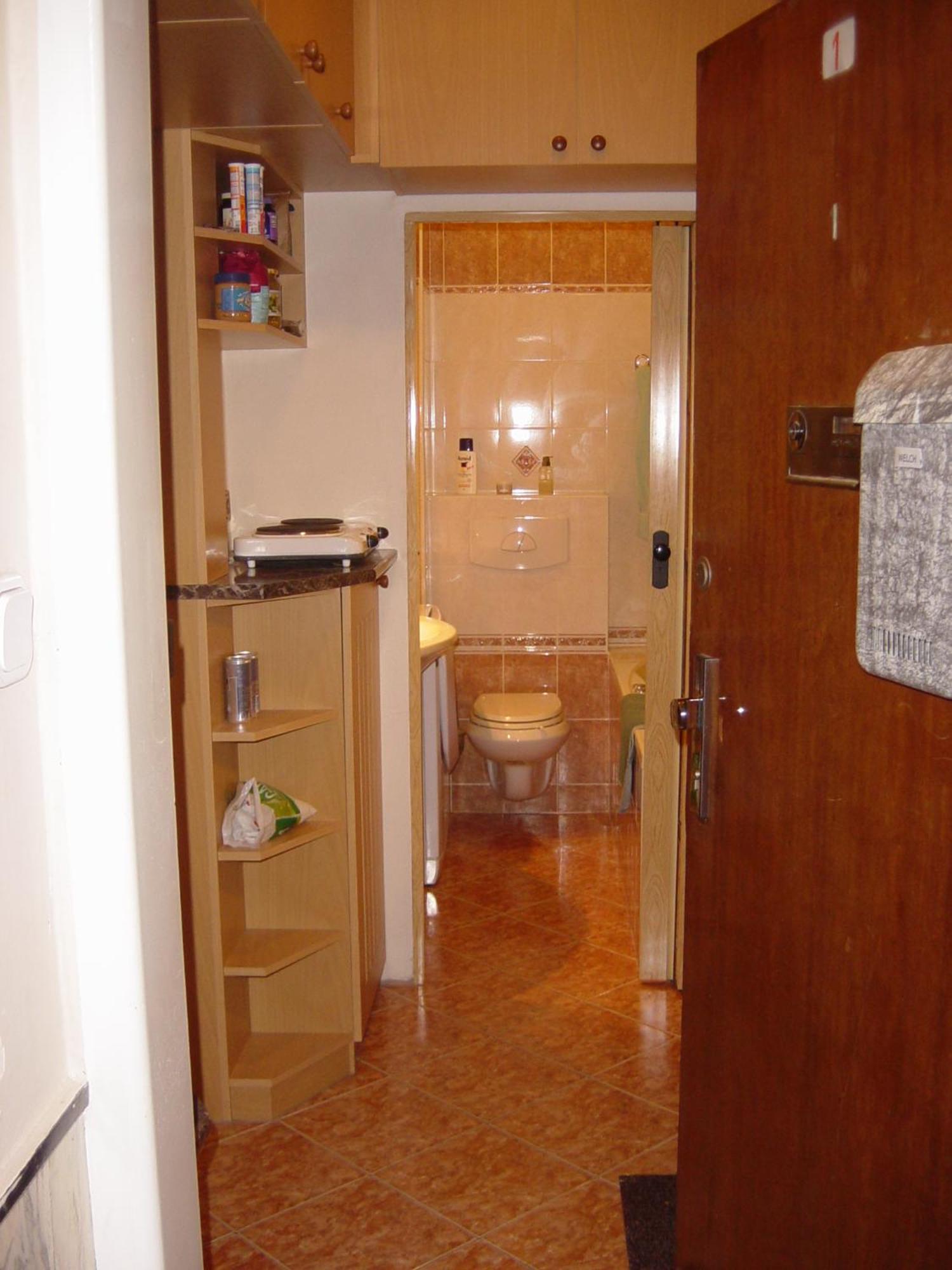 Studio Apartment Monte Bu Brno Bagian luar foto